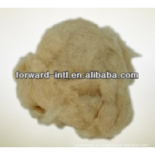 Forward International -100% Fibra de Cachemira Dehaired de origen mongol